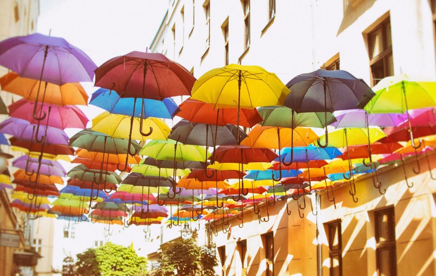 Piotrkowska 120 parasolki